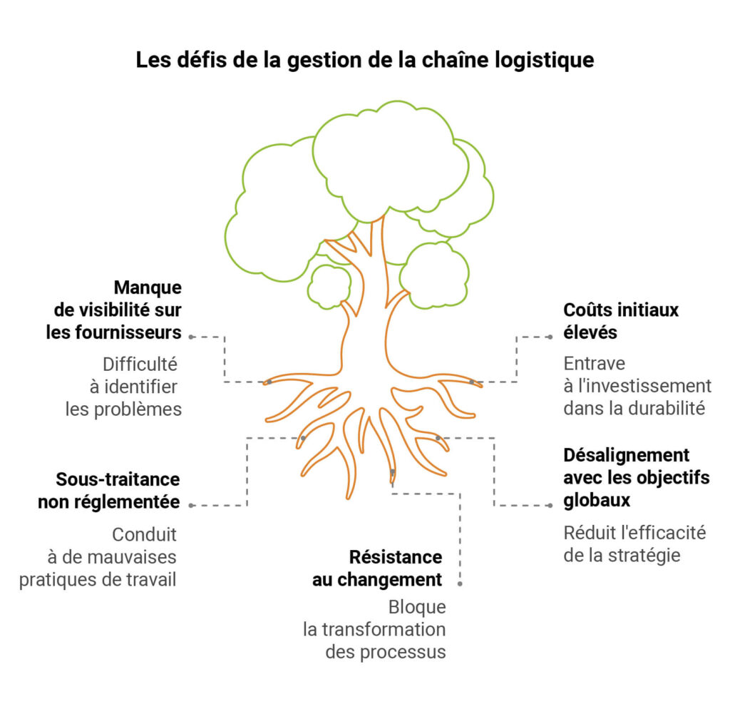 desafios-sostenibilidad-estanterias-record_fr